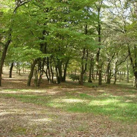 Camping La Garenne Peyrignac
